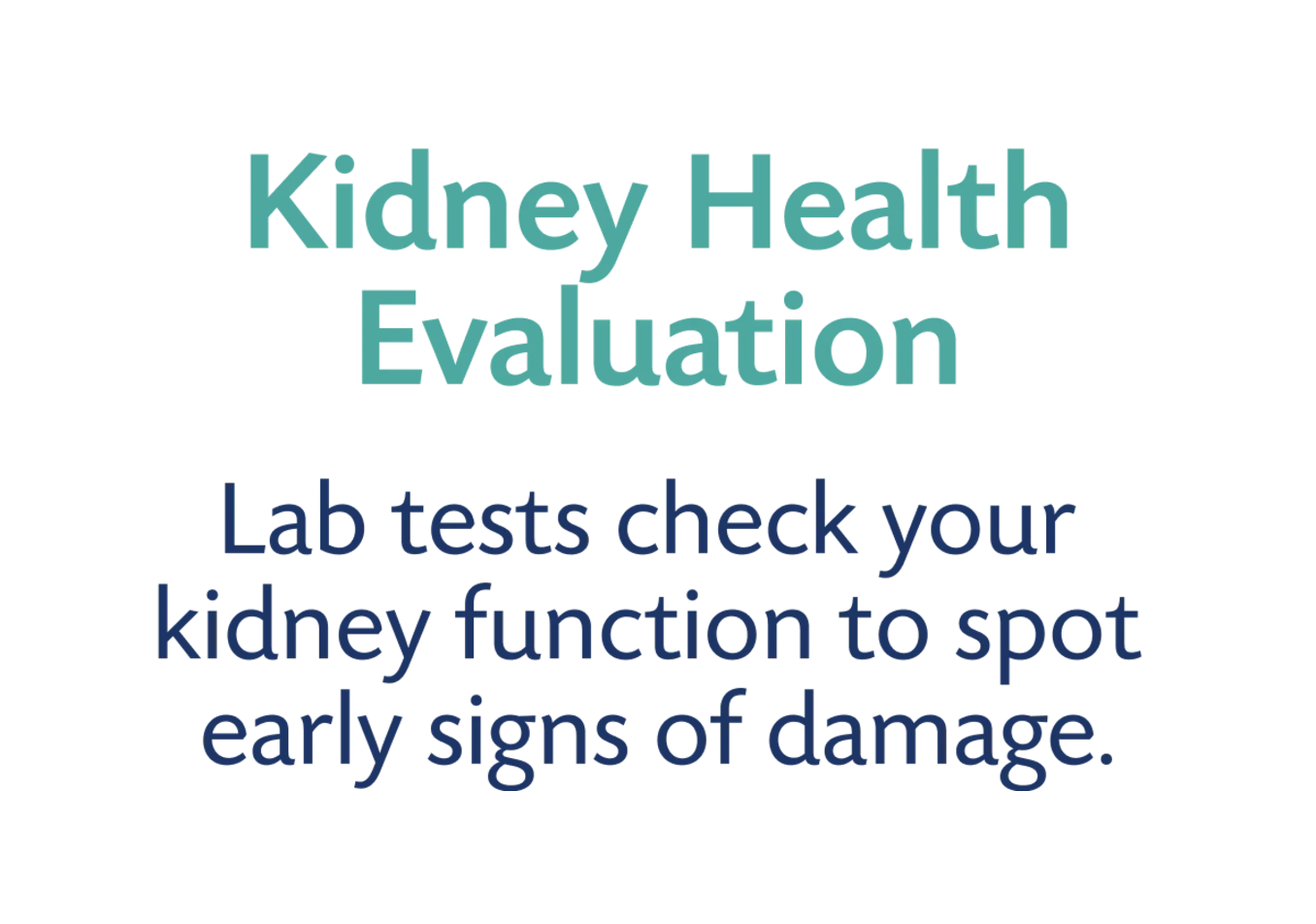 Tests Included in Big Four Screening